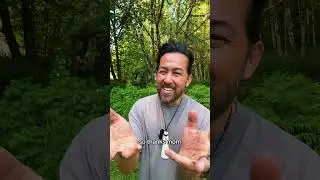 Child sees SPIRIT