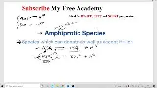Amphiprotic species definition and examples