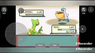 Pokemon emerald/Pok&eacute;mon esmeralda #32 GYM6
