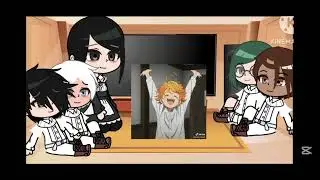 Tpn react to emma (some angst) (without emma) (1/?)