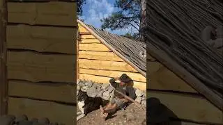 Building Roof and Stone Fireplace at my Cabin