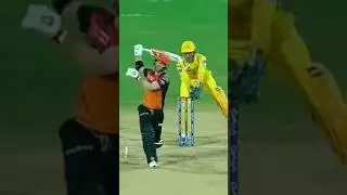 MS Dhoni Stumping David Warner 🔥 #msd #msdhoni #msdhonistatus #shorts #ipl2023 #davidwarner