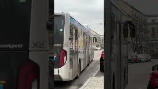 MAN 18G Lion's City NG320 EfficientHybrid |Stadtwerke Augsburg AVG/SWA |Prinz-Karl-Viertel |Linie 41
