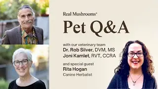February 2026 Live Pet Q&A with Dr. Rob Silver DVM, MS, Joni Kamlet, RVT, CCRA, & Guest Rita Hogan