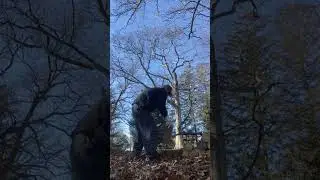 Splitting wood with my boys axe 
