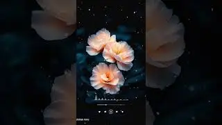 ആലത്തിൻ 🎤:ShihabTirur/✍🏻:NoushithMansoor #madh #new #love #madhunnabi #shorts