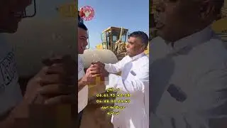 بوجمعة مشا حتا لقريعة عند عبد الفتاح باش يتاكد من تجربة الدكاكة على بونج الابطال