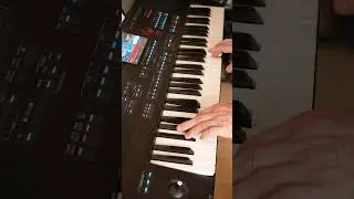 The Little Drummer Boy - A Christmas Song On The Thomann AK-X 1100 / Medeli AKX 10 Keyboard