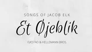 ET &Oslash;JEBLIK (Elk, Fj&aelig;stad & Hellemann Bros.)