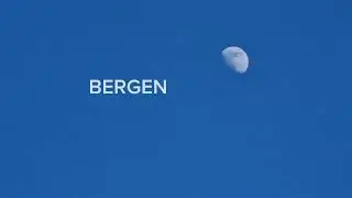 V&aring;rblomster ved et krigsminne