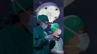 How to differentiate retractile from undescended testis?