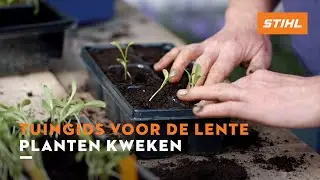 Planten kweken - Tuingids voor de lente