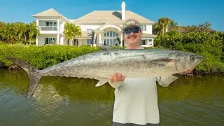 Fishing Backyards to Offshore on my 18' Skiff!! Sheepshead, Snook, Drum, Tripletail and Kingfish