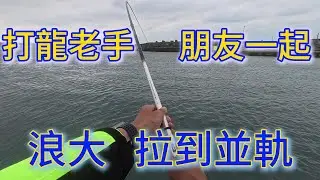 (釣魚)2025  打龍老手朋友一起  拉到並軌  新北市 三芝  石門 金山 北海岸 磯釣 淺水灣  海釣 釣魚 漁港 路邊磯 大咬 #fishing
