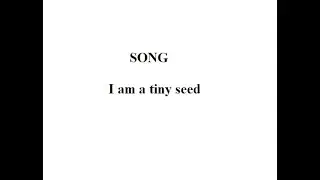 I am a tiny seed  |  MONTESSORI  SONG | BY ANN