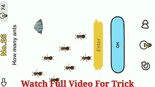 Brain Out Level 31 How many ants