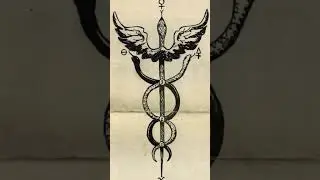 Цивилизация Серпентоидов: всё всегда было перед нашими 👀 глазами. The Serpentoid civilization.