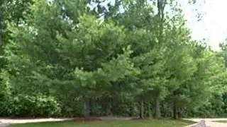 Real estate for sale in Lapeer Michigan - MLS# 215047143