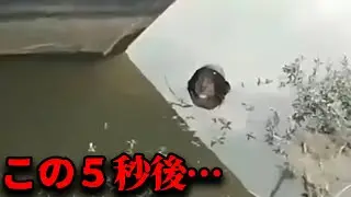 【心霊映像】水に浮かぶ不気味な顔にイタズラした撮影者に訪れた悲劇とは…【総集編】