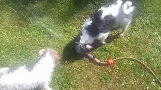 just a little video