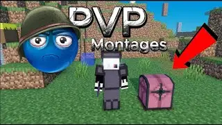 PVP MONTAGE IN (VOXELS)(HEDGEHOG)