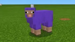 COLOUR CHANGING SHEEP | MINECRAFT GAMEPLAY #shorts