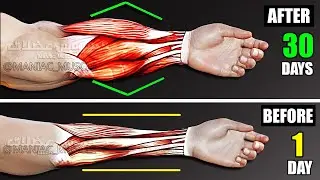 Try These Routine forearms Workout for Crazy Results ( Very Effective )