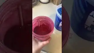 Dragon Fruit Powder For Better Energy day 2