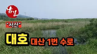 [서산]_ 대산 1번 수로 / 그냥저냥 무던한 곳~!!