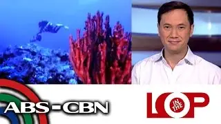 In the Loop: Benham Rise renamed to Philippine Rise