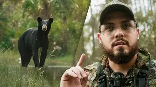 Qué tan DIFÍCIL es encontrar a un Oso Negro de la Florida ? 🐻📸 ( Mi Experiencia )