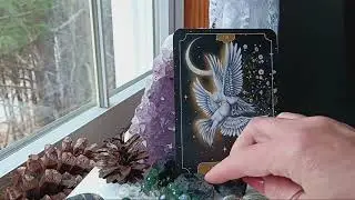 Mar 12, 2025 ❤️Daily Angel Message❤️~ INNER PEACE & HARMONY!