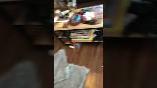 Crazy boyfriend freak out