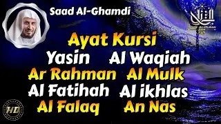 Beautiful Quran Recitation | Ayat Kursi, Al Fatihah, Yasin, Ar Rahman, Al Mulk, Waqiah, falaq,Nas ❤✔