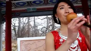 Fa Ru Xue (Hair Like Snow) - hulusi cover by Hillary Lor