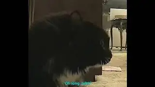 Oh Long Johnson Cat (With Accurate Subtitles)