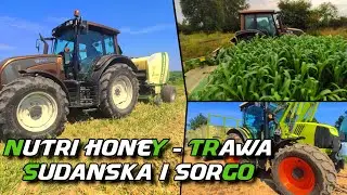 Nutri Honey - trawa sudańska i sorgo [Koszenie, prasowanie i owijanie]