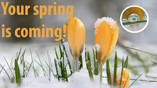 Your spring is coming! Even if it still feels like winter today - spiritually speaking..