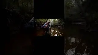 Top Fishing Tip: How to Fish Wild Tree Laden Banks Like a Pro
