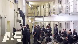 60 Days In: Top 10 Moments From Season 3 | Crime 360