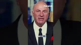 &lsquo;Are we all idiots?&rsquo; Kevin O&rsquo;Leary slams Canada&ndash;US tariff exchange #shorts #tariffs