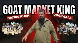 Goat market king Nazir khan in jogewala,  India #goat #tungwali 