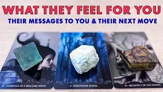 💌 What They Feel For You | Their Messages | Their Next Move | Pick A Card &bull; Tarot Reading &bull; Timeless