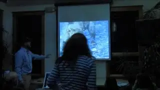 Bears of the McNeil River Bear Sanctuary