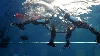 Group pose underwater | Mermaid Skills