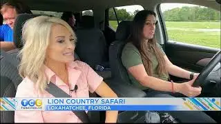 Kristin’s Favorite Florida Experiences - Sponsored by Visit Florida