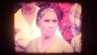 Saracena 1973