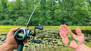 Topwater Frog Fishing For BIG BASS at Private Texas Lily Pad Pond!! (Fishing In the Rain)