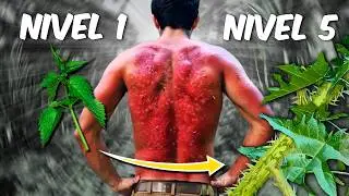 Planta Venenosa - Nivel 1 al 5