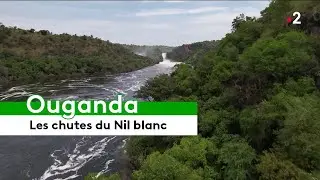🇺🇬 Ouganda : les vertigineuses chutes du Nil blanc